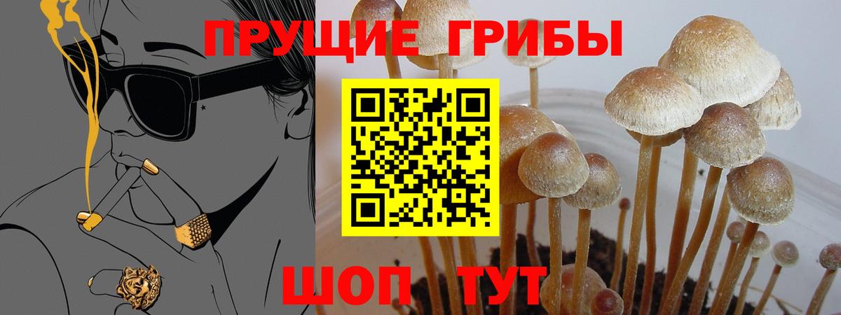 Галлюциногенные грибы прущие грибы  Вход с VPN  Вологда 