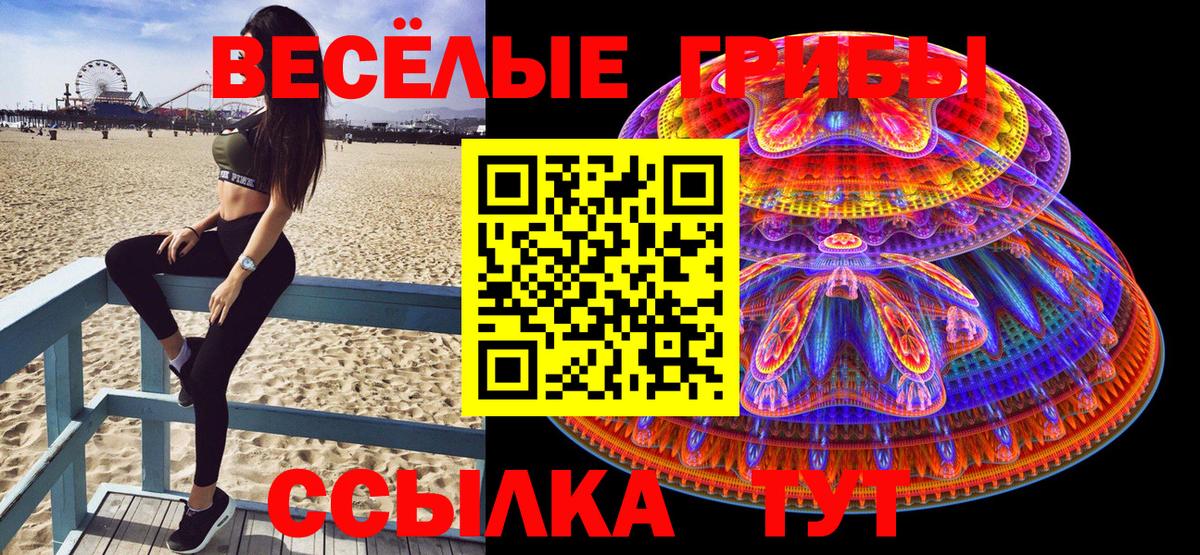 Галлюциногенные грибы Psilocybine cubensis Вологда