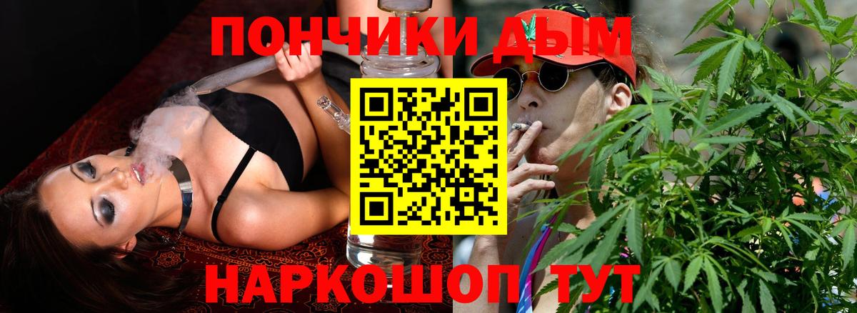 Шишки марихуана конопля Вологда